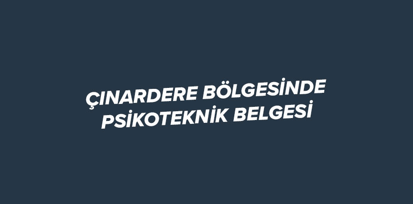 cinardere de psikoteknik