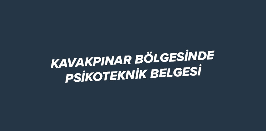 kavakpinar da psikoteknik belgesi