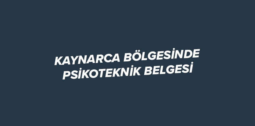kaynarca da psikoteknik belgesi